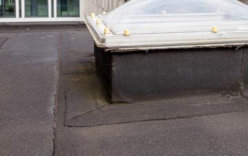 disadvantages of Derry Fields flat roofs