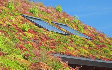 Derry Fields living roof systems